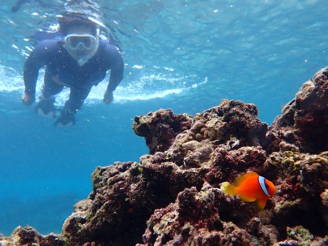 水中なのに、すごい写真の撮影技術でした!!_marine assist DEMI