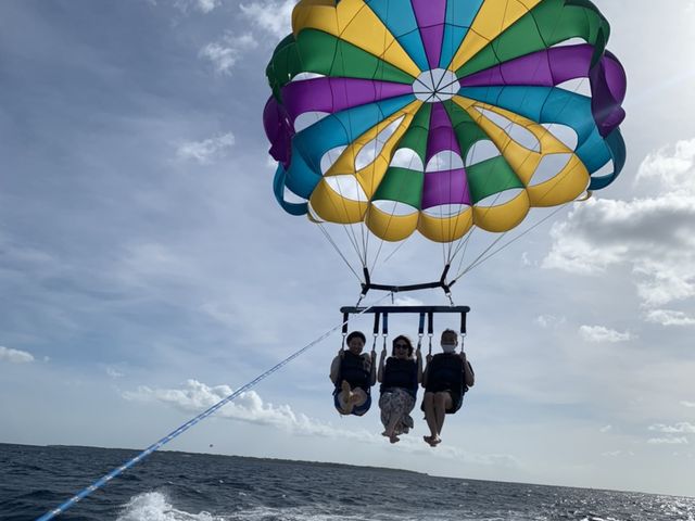 ���̓��[�v�L�΂������I�I_�Ί_���u���[�V�[�T�[