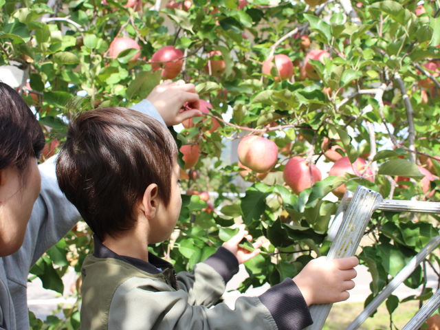 O˂̑rɏđтŃSIт܂_ux[t@[( Oh_)