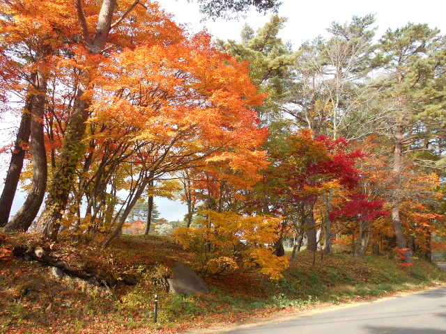 ���֒򃌃C�N���]�[�g