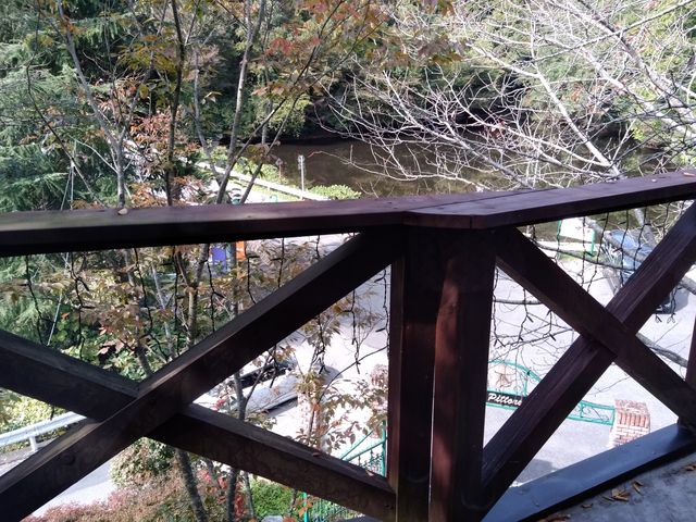 ���܂��B_6���̐X�@�I�[�x���W��