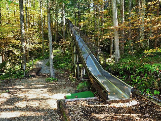 �ԑ���ѓ��ɐݒu���ꂽ45���[�g���̒��������_�ԑ򎩑R�x�{��