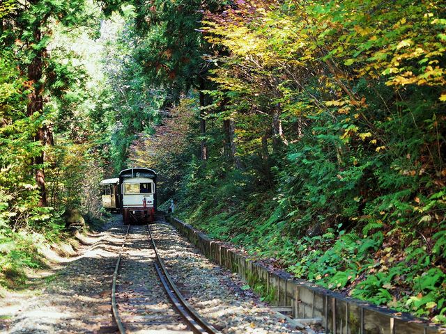 �X�ѓS��_�ԑ򎩑R�x�{��