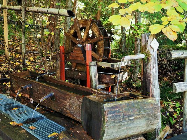 �ԑ���ѓ��̐���_�ԑ򎩑R�x�{��