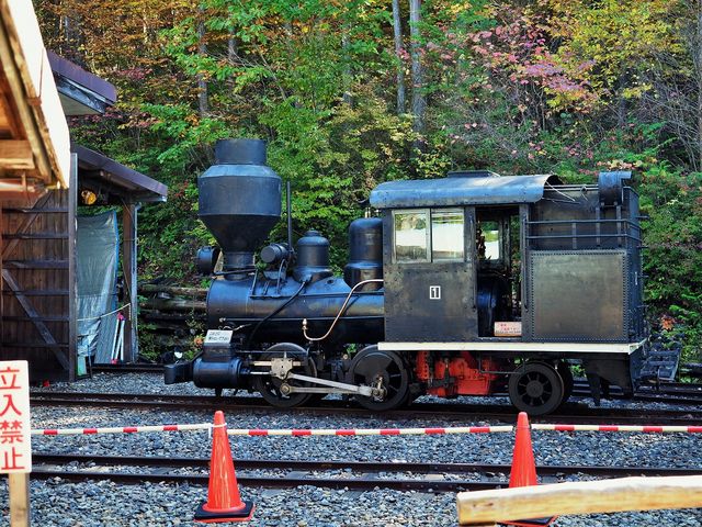 �؍މ^���Ɋ��􂵂��A�����J�����C�@�֎�(�{�[���h�E�C����)_�ԑ򎩑R�x�{��