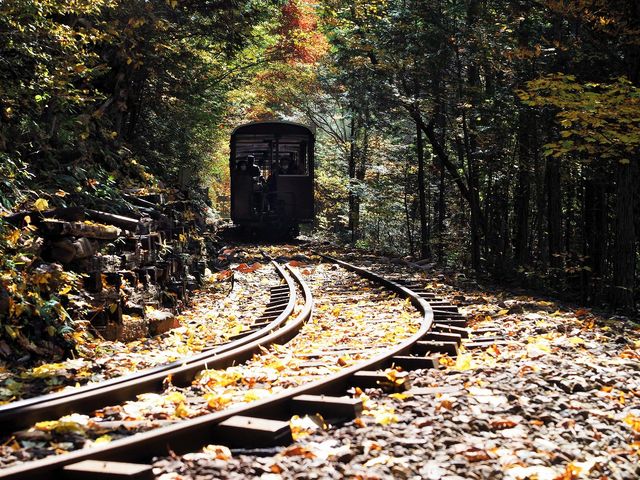 �S���X�ї��̐X�ɑI�肳���1986(���a61�N)_�ԑ򎩑R�x�{��