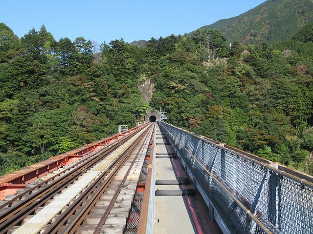 �����Ώ�w�ɂćA_�����Ώ�w