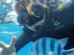 [ځ[̃}Nu Gigiւ̓eʐ^1