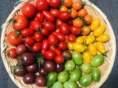 ǂ񂿂񂳂FARM@KEIւ̓eʐ^1