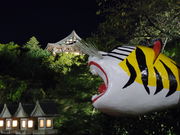 kiyohiko85jp̐MMXJCC̓eʐ^3