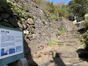 �X�^�[����̃I�����_���̓��e�ʐ^1