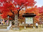 yu]cyan̓yÐ_Ђ̓eʐ^1