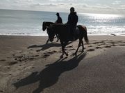 takeuchi3̖kmV[TChCnNu̓eʐ^1