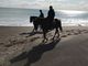 takeuchi3さんの北太平洋シーサイドライン乗馬クラブの投稿写真1