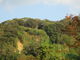 のりゆきさんの城山（鹿児島市）への投稿写真3