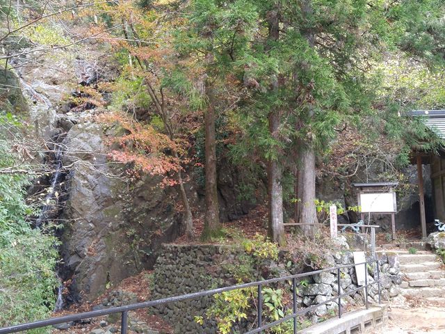 ���e�̌䓰�����͂̍g�t���������i�ς�n���Ă���_��d��