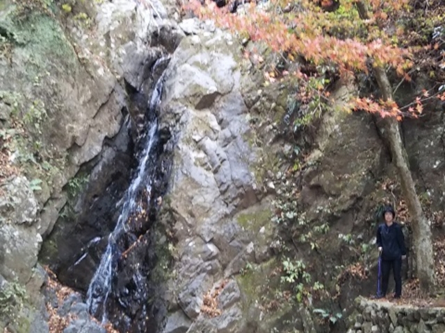 ����͐��ʂ����Ȃ��A���ɍׂ��ꂵ�������Ȃ�����_��d��