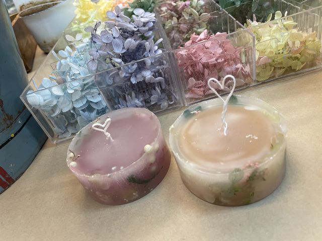 �Ƃɂ��������B�������ɒu���ƃe���V�������オ�肻���ł��B_JCA�@�L�����h���X�^�W�I�@���Z