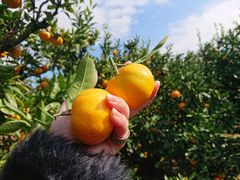 ̂̂肳̋eԉւ̓eʐ^1