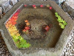 jR񂳂̈bώRւ̓eʐ^1