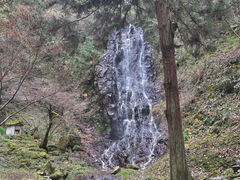 sklfh����̖��~��̑�ւ̓��e�ʐ^1