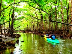 G~I}~[̐Ί_GRcA[VbvI[pւ̓eʐ^1