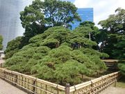 ̎OSN̏il{뉀j̓eʐ^1