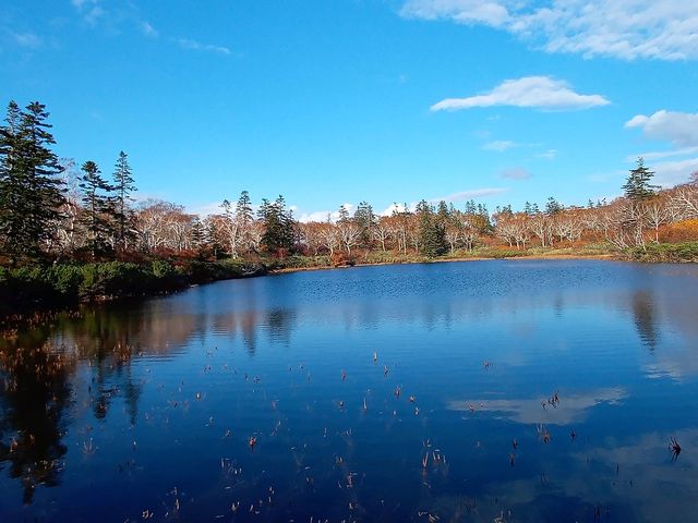 䂩܂̐_Rx{ѓW]̓eʐ^2