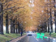 kiyohiko85jp̃^ZRCA؂ւ̓eʐ^1