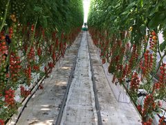 ̂Ԃ̊Ё@og}g_ւ̓eʐ^1