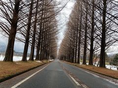 ݂₿񂳂̃^ZRCA؂ւ̓eʐ^1