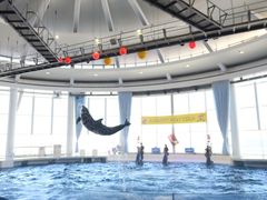 アクアワールド茨城県大洗水族館の口コミ一覧 じゃらんnet