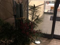 񂳂̃[gCOeBA{-ec-ւ̓eʐ^1