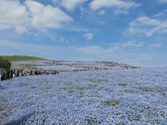 ܂ڂ񂳂̍cЂClւ̓eʐ^1