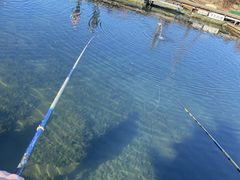 ALI̕xmڂւ̓eʐ^1