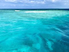 炳̃}T[rX@pb\ւ̓eʐ^1