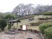 ̂䂫̍璬jق̓eʐ^2