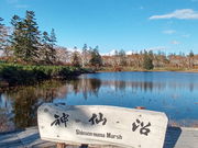 䂩܂̐_Rx{ѓW]̓eʐ^1