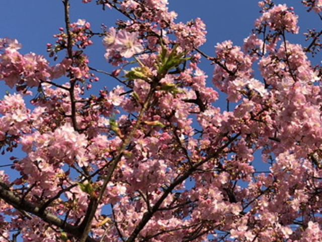 ���ː_�Ё@��_���ː_��