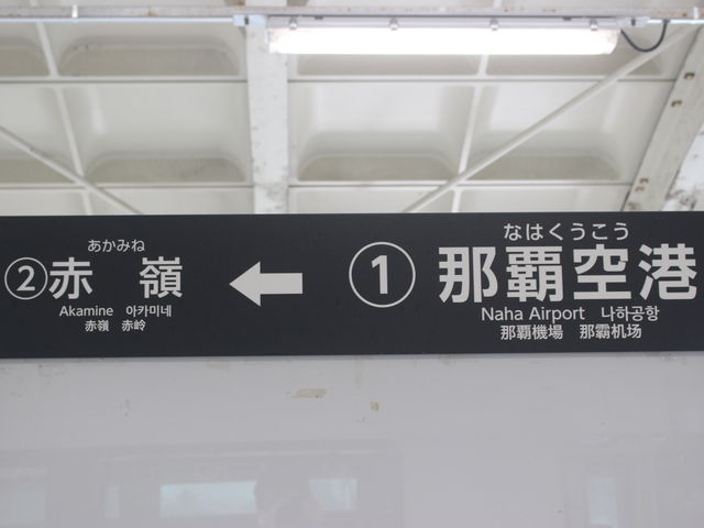 �ߔe��`�w�͎n���w�ł��B_�䂢���[���ߔe��`�w