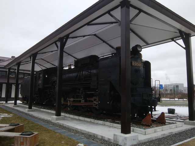 D51 ���W�����Ă���܂��B_�������w�Ɂi�����ό�����j