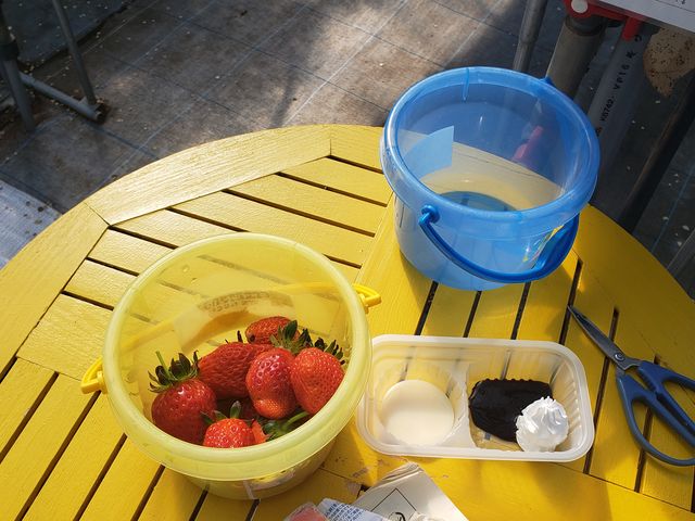 �Â���䕂ɍ����܂����B�g���C�̌E�ݎO�ɂ��ė~�����ł��B_�������̉���