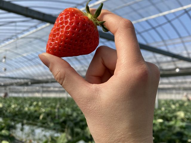 �嗱�ł��܁[�[���I�I_Farm U.S.A