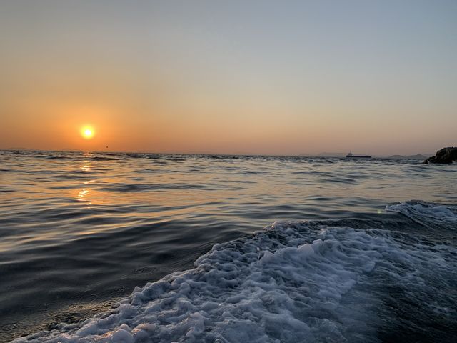 �[�����ō��I_�V���D���ƂЂ�