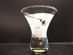 ܂܂̃KXA[gH[@CARINAւ̓eʐ^1