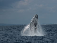 悵NEWSߔeXւ̓eʐ^1