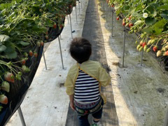 [񂳂̓@Ԃ߂ւ̓eʐ^1