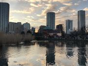 ����傤�܂�����̕s�E�r燓V���̓��e�ʐ^1