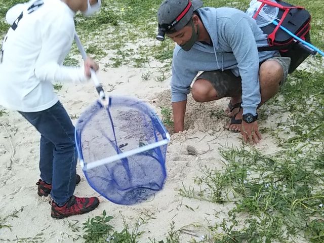 JjT_OKINAWA.NATURE.ASHIBI