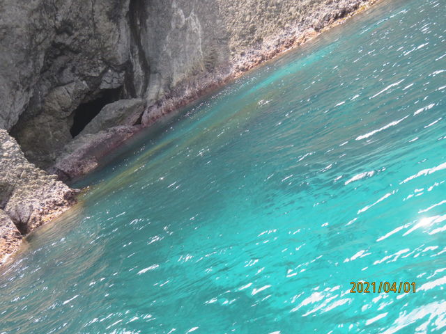 �����x���I_�ΘL�薦�߂���V���D